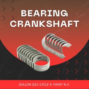 Bearing Crankshaft